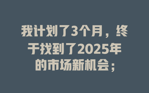 我计划了3个月，终于找到了2025年的市场新机会； 一
