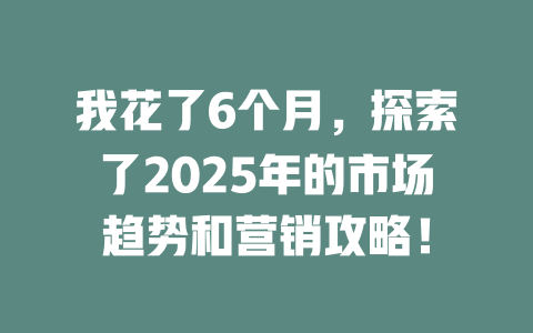 我花了6个月，探索了2025年的市场趋势和营销攻略！ 一