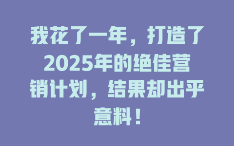 我花了一年，打造了2025年的绝佳营销计划，结果却出乎意料！ 一