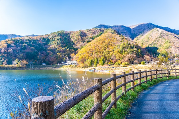 我用了6个月，竟然掌握了2025年的趋势秘笈！ 二