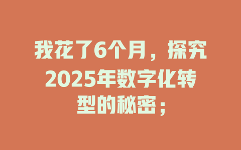 我花了6个月，探究2025年数字化转型的秘密； 一