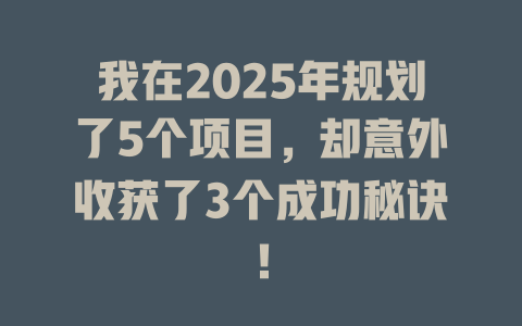 我在2025年规划了5个项目，却意外收获了3个成功秘诀！ 一