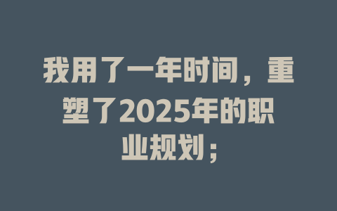 我用了一年时间，重塑了2025年的职业规划； 一