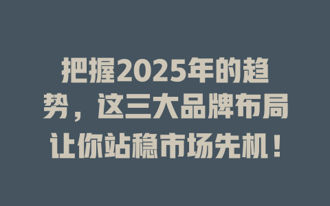 把握2025年的趋势，这三大品牌布局让你站稳市场先机！ 一
