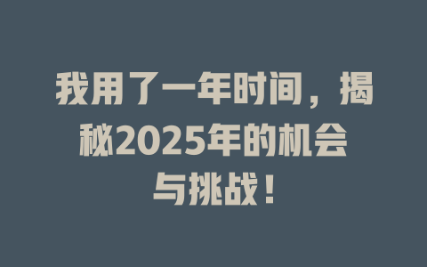 我用了一年时间，揭秘2025年的机会与挑战！ 一