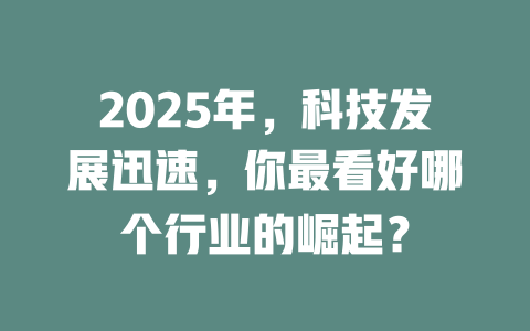 2025年，科技发展迅速，你最看好哪个行业的崛起？ 一