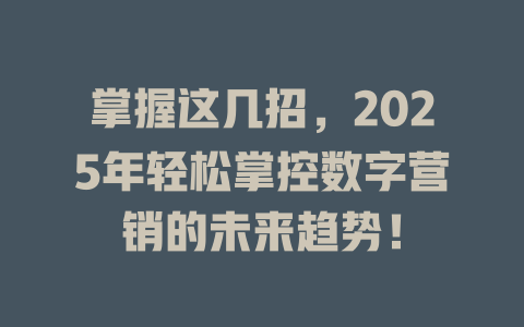 掌握这几招，2025年轻松掌控数字营销的未来趋势！ 一