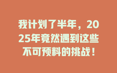 我计划了半年，2025年竟然遇到这些不可预料的挑战！ 一