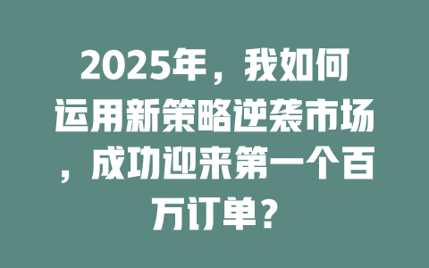2025年，我如何运用新策略逆袭市场，成功迎来第一个百万订单？ 一