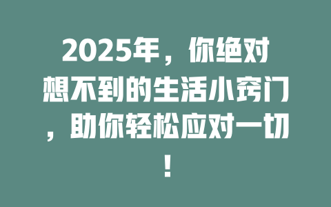 2025年，你绝对想不到的生活小窍门，助你轻松应对一切！ 一