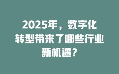 2025年，数字化转型带来了哪些行业新机遇？ 一