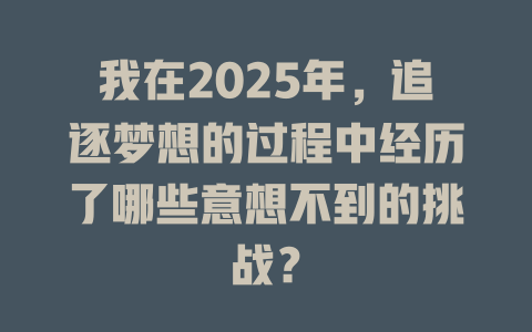 我在2025年，追逐梦想的过程中经历了哪些意想不到的挑战？ 一
