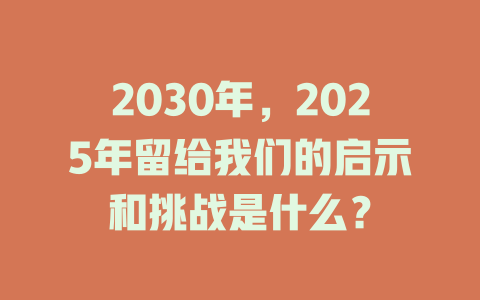 2030年，2025年留给我们的启示和挑战是什么？ 一