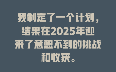 我制定了一个计划，结果在2025年迎来了意想不到的挑战和收获。 一