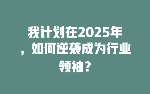 我计划在2025年，如何逆袭成为行业领袖？ 一