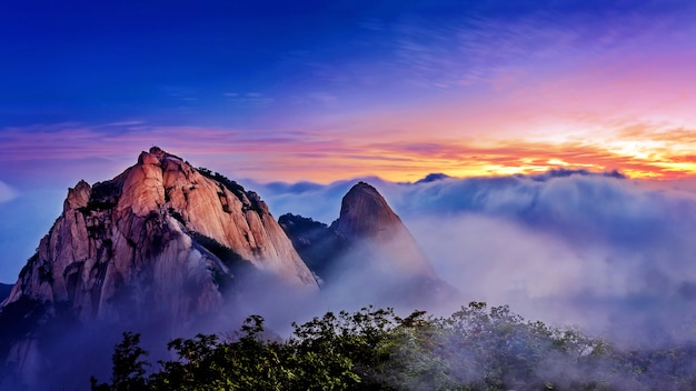 我只用了半年，提前预测了2025年的五大生活趋势是什么！ 二