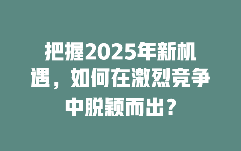 把握2025年新机遇，如何在激烈竞争中脱颖而出？ 一