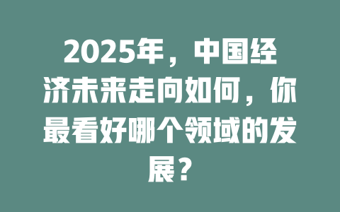 2025年，中国经济未来走向如何，你最看好哪个领域的发展？ 一