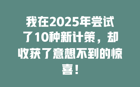 我在2025年尝试了10种新计策，却收获了意想不到的惊喜！ 一