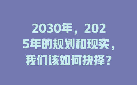 2030年，2025年的规划和现实，我们该如何抉择？ 一
