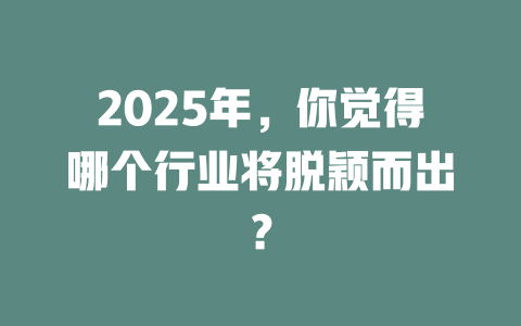 2025年，你觉得哪个行业将脱颖而出？ 一