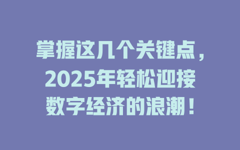 掌握这几个关键点，2025年轻松迎接数字经济的浪潮！ 一